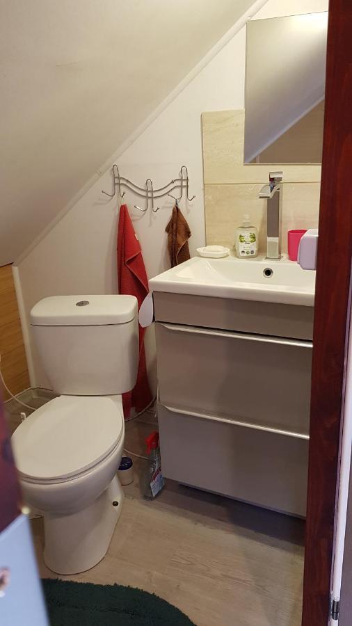 Turystyczny Apartament Na Poddaszu Skoczów Dış mekan fotoğraf