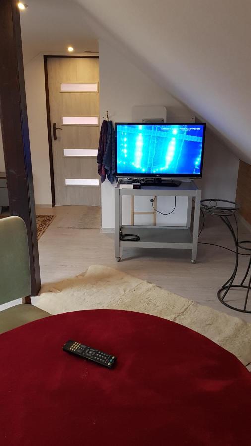 Turystyczny Apartament Na Poddaszu Skoczów Dış mekan fotoğraf