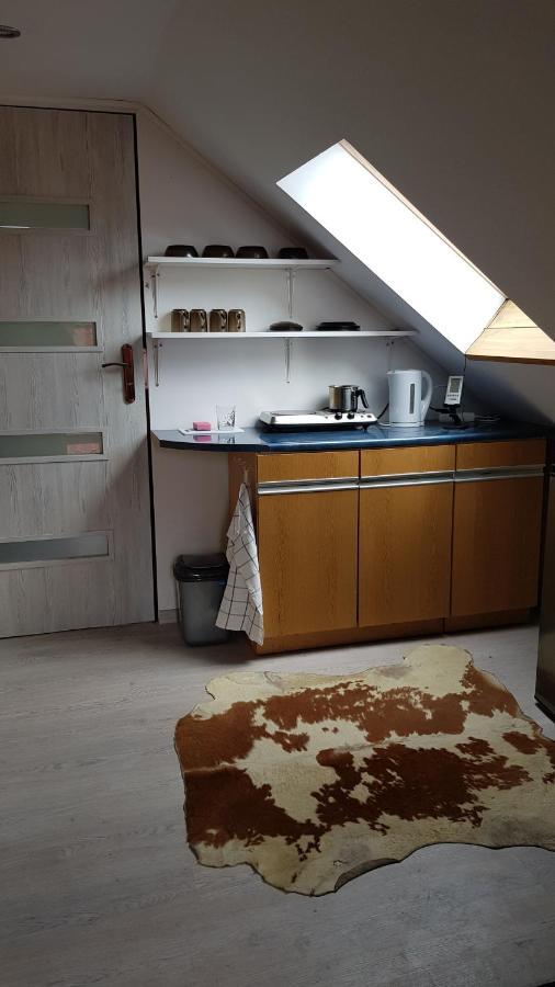 Turystyczny Apartament Na Poddaszu Skoczów Dış mekan fotoğraf